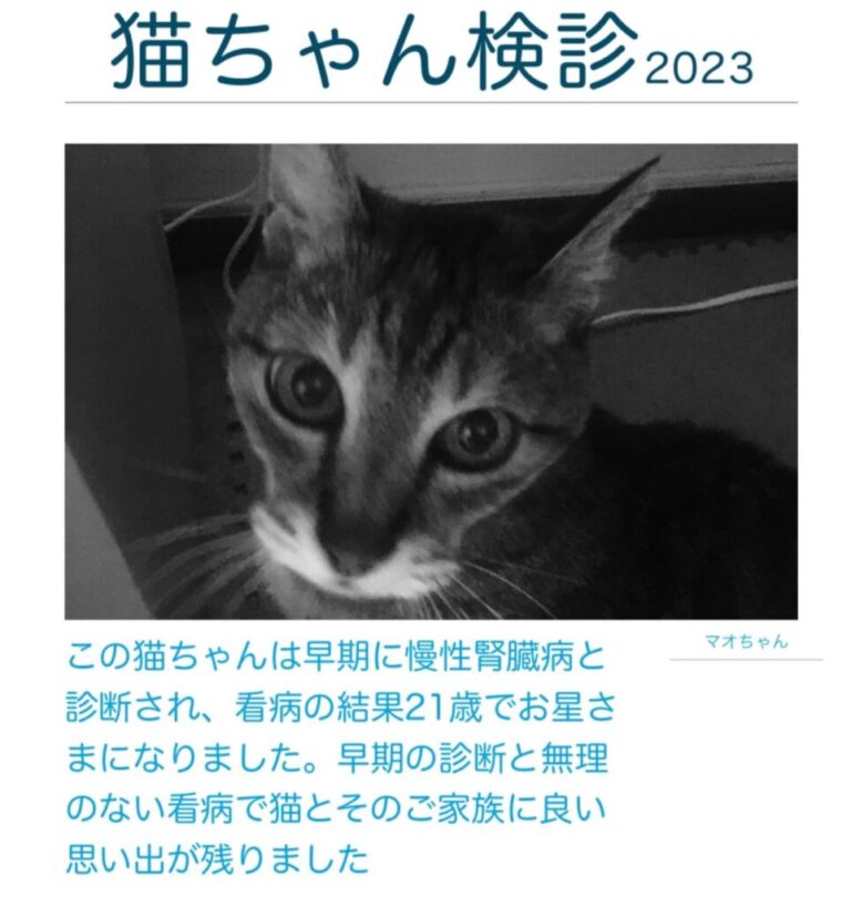 【猫ちゃん検診2023】のご案内