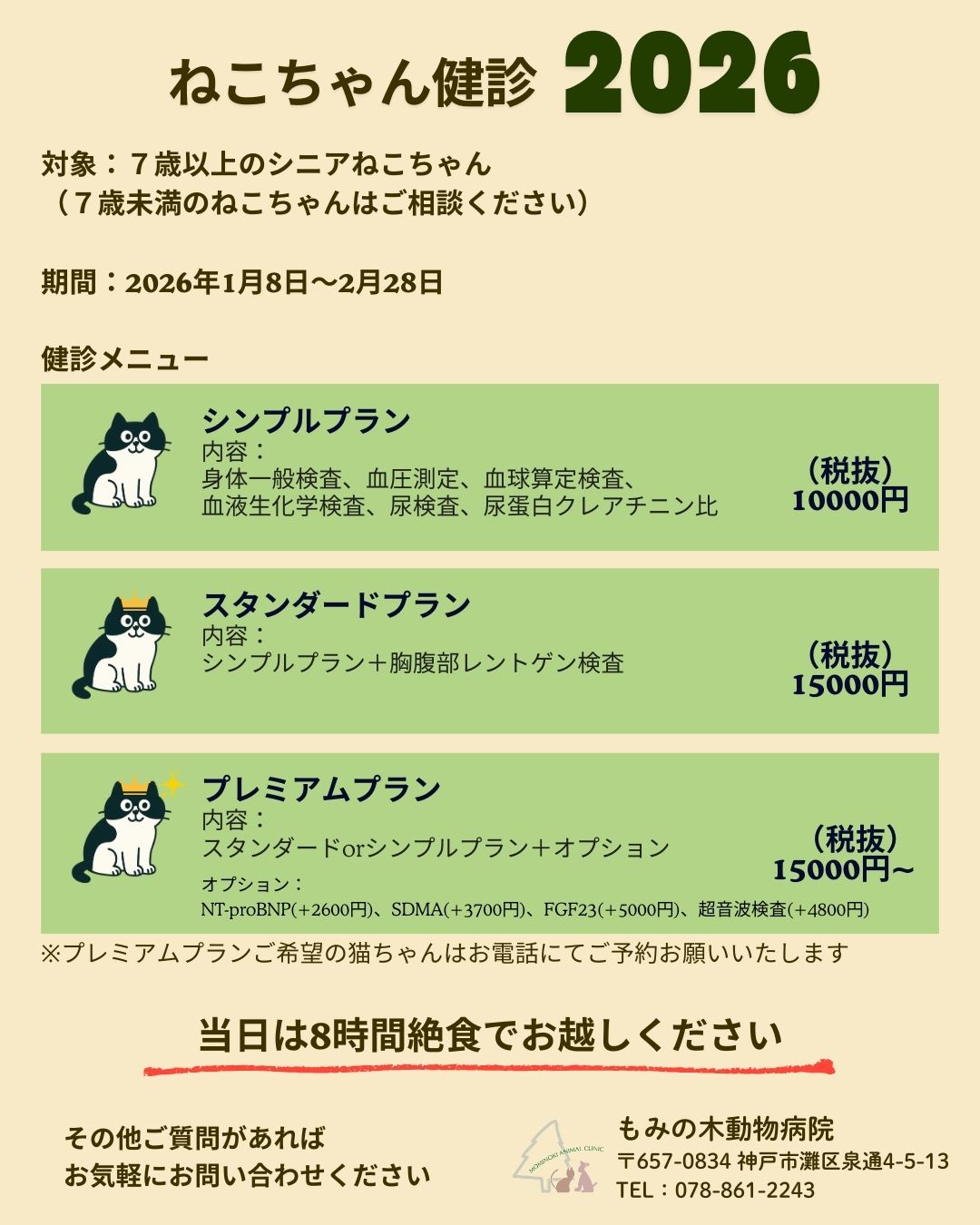 猫ちゃん健診 2026年 ご予約開始 - もみの木動物病院